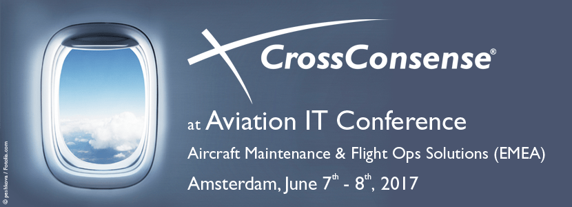 CrossConsense on IT Conference in June