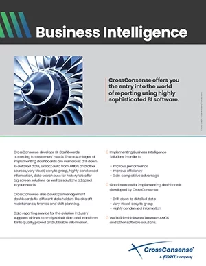 Download CrossConsense Business Intelligence brochure